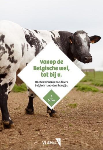 Belgische rassenfiches rundvlees