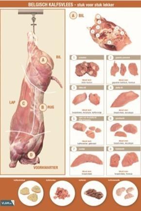 Versnijdingsleaflet kalfsvlees