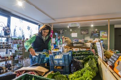 Hoevewinkel t Hertsveld