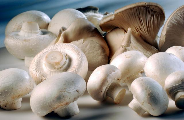 Champignons