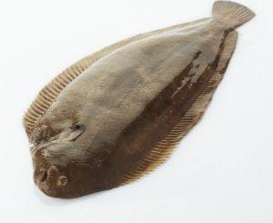 Zeetong
