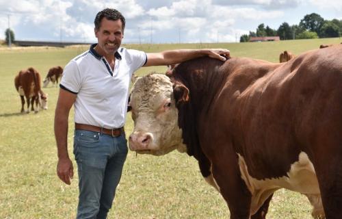 Johan Christiaens met een Hereford-rund