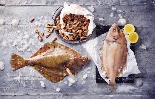 zomervissen: pladijs, schartong, schelvis