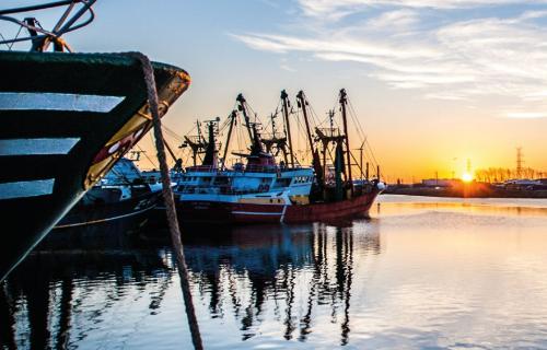 Vissersboot zonsondergang