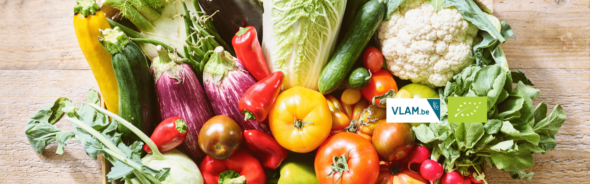 Banner BioVLAM Banner BioVLAM