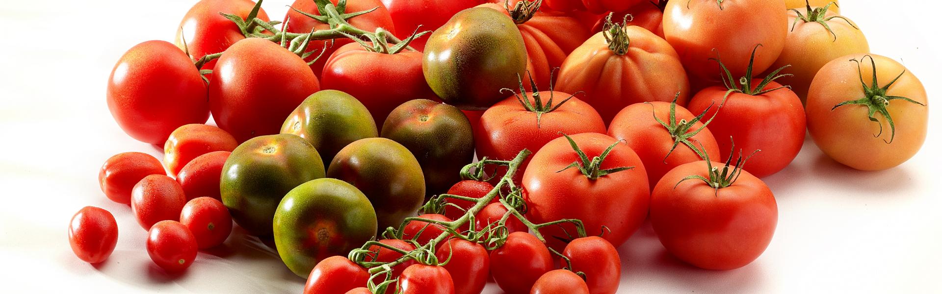 Tomaatsoorten