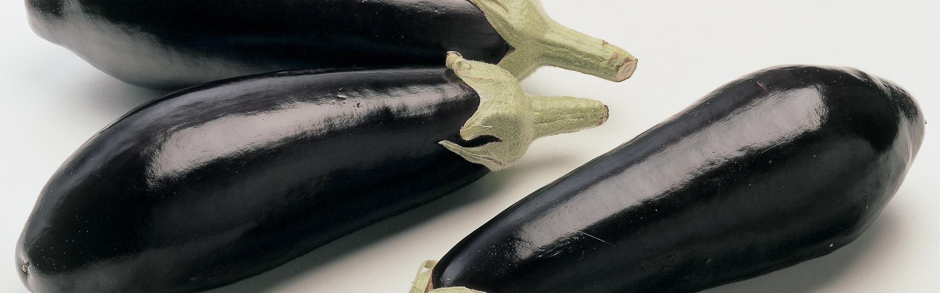 Aubergines Foto aubergines