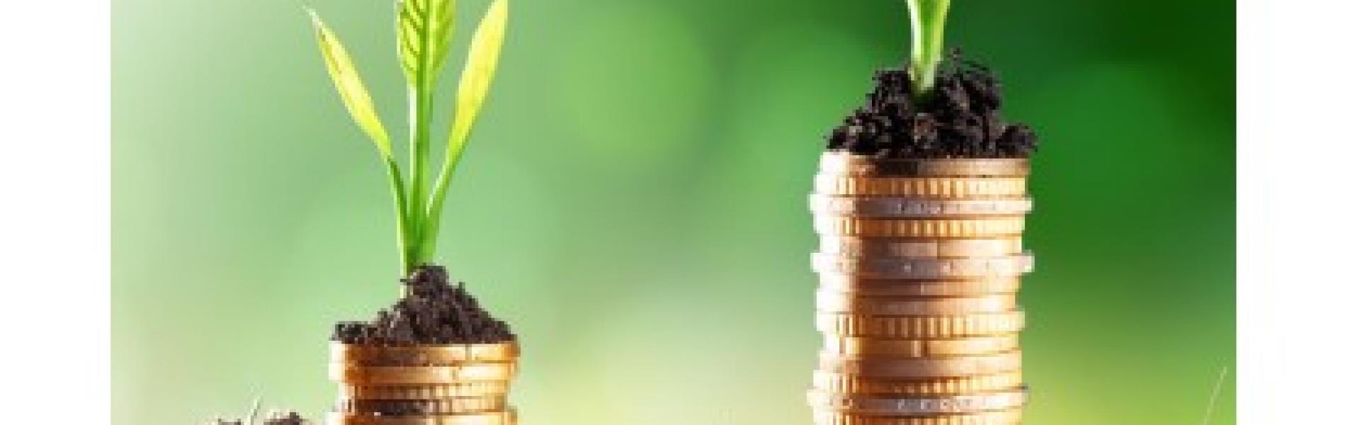 lokale economie lokale economie